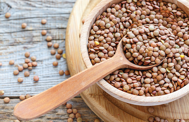 An average 3.5 ounce serving of pink lentils generally has 26 grams of  vegan protein