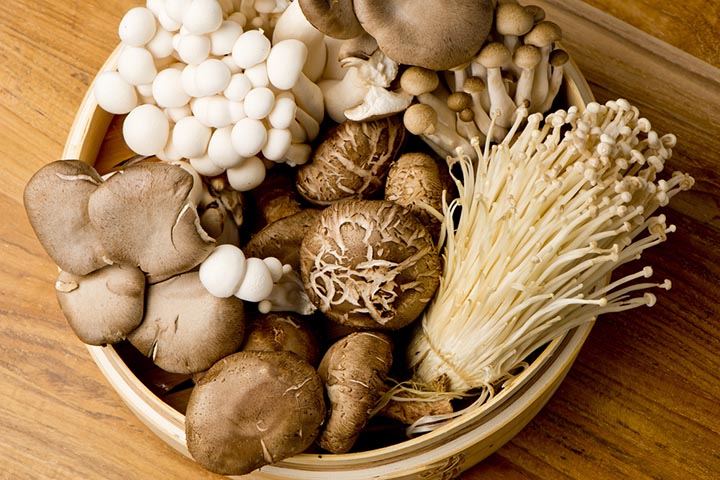 6 Best Mushrooms for Immune Health